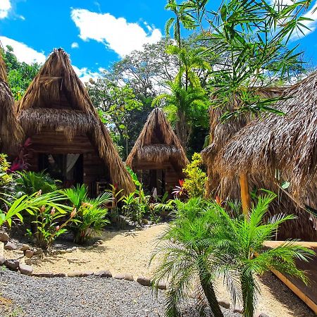 Buena Onda Bungalows Playa Santa Teresa  Eksteriør bilde